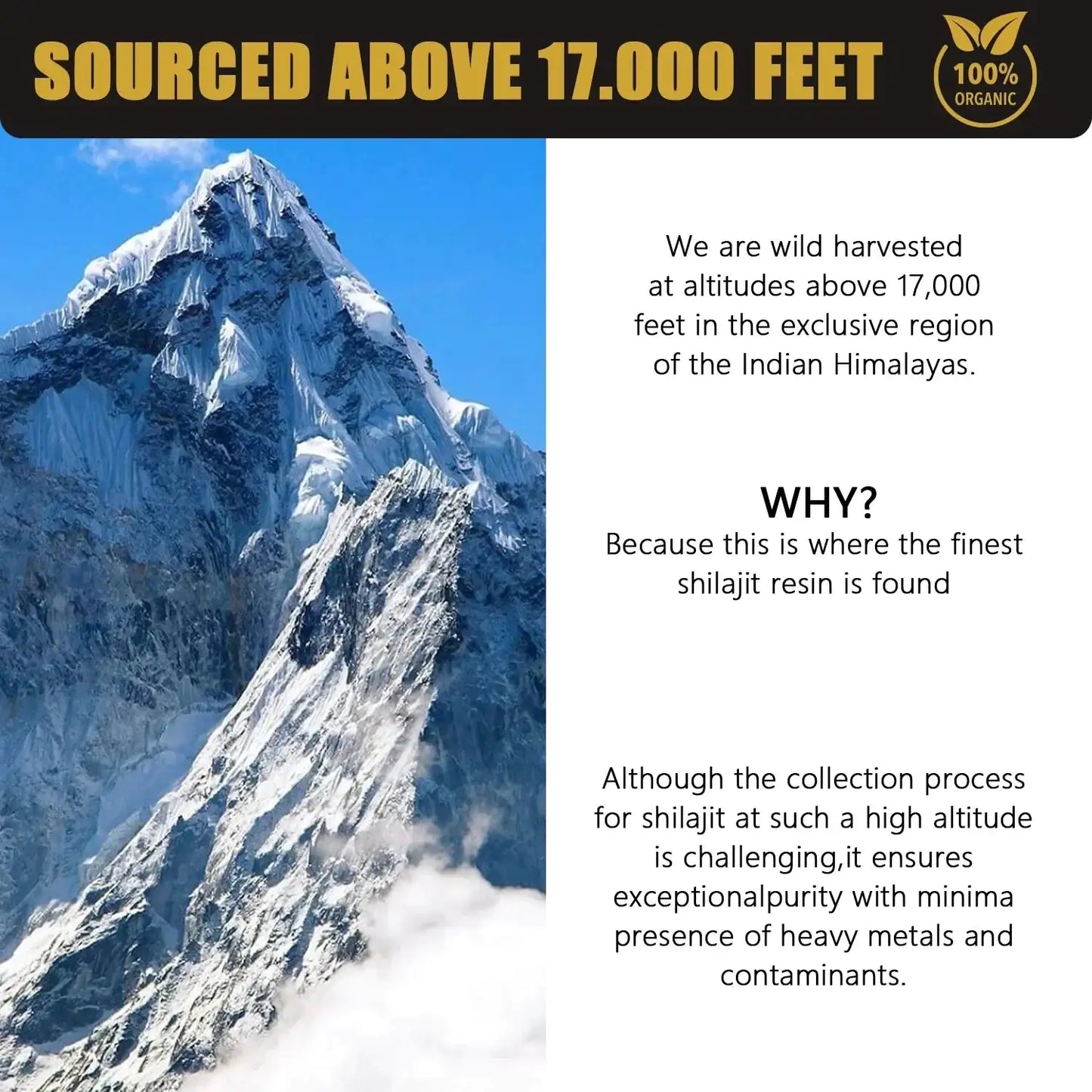 Himalayas with our Authentic Himalayan Shilajit Premium Resin